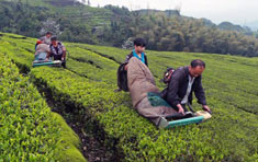 宜賓珙縣鹿鳴生態(tài)茶園基地