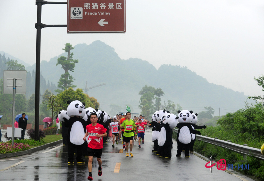 大熊貓陪你一起跑！